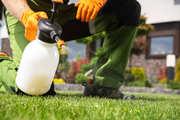 Best Pest Prevention Services  in Lakehurst, NJ