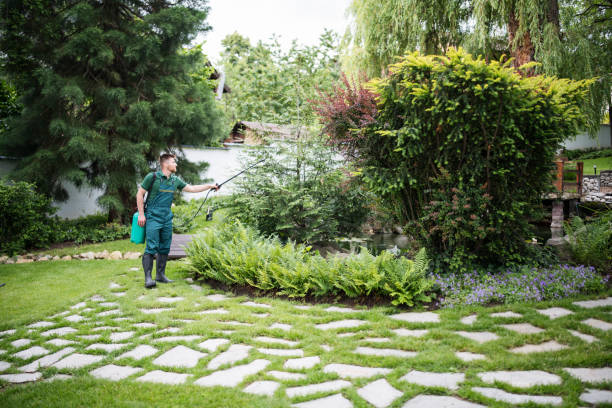 Best Affordable Pest Control Services  in Lakehurst, NJ
