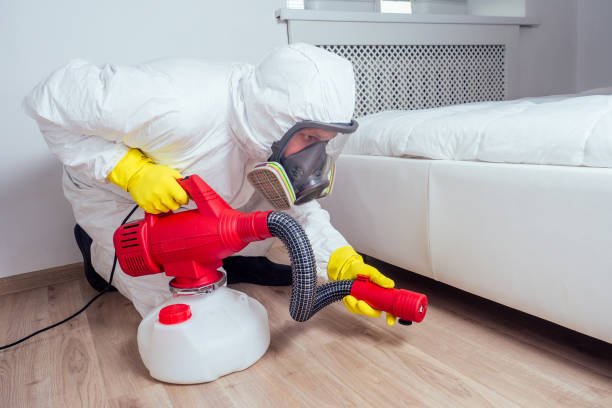Best Wasp Removal Services  in Lakehurst, NJ