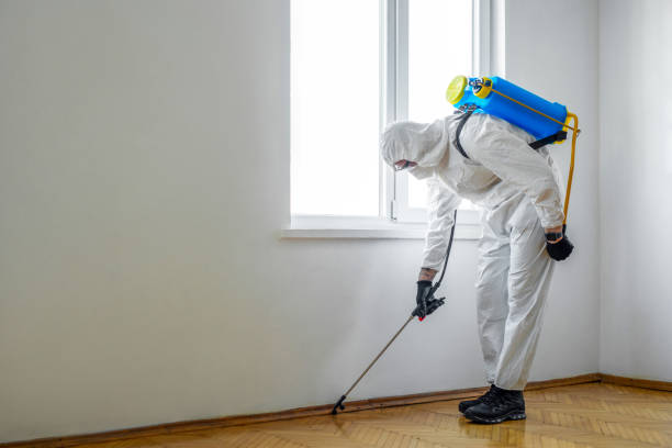 Trusted Lakehurst, NJ Pest Control Experts