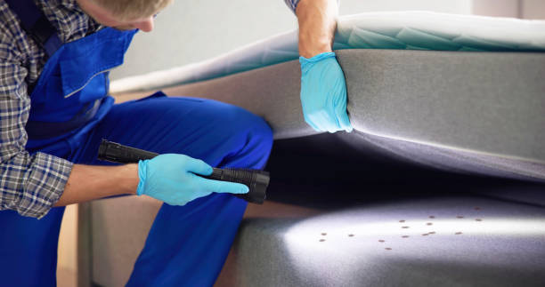 Pest Control Cost in Lakehurst, NJ