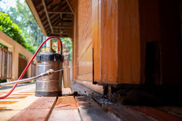 Pest Control Cost in Lakehurst, NJ