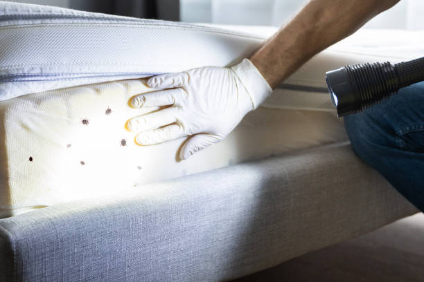 Best Emergency Pest Control  in Lakehurst, NJ