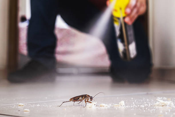 Best Pest Removal Services  in Lakehurst, NJ