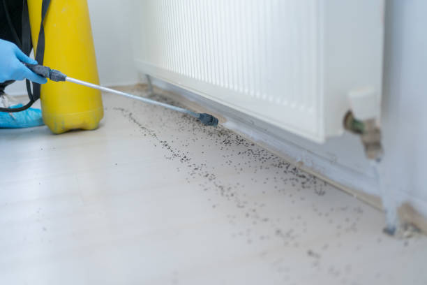 Flea Control Services in Lakehurst, NJ