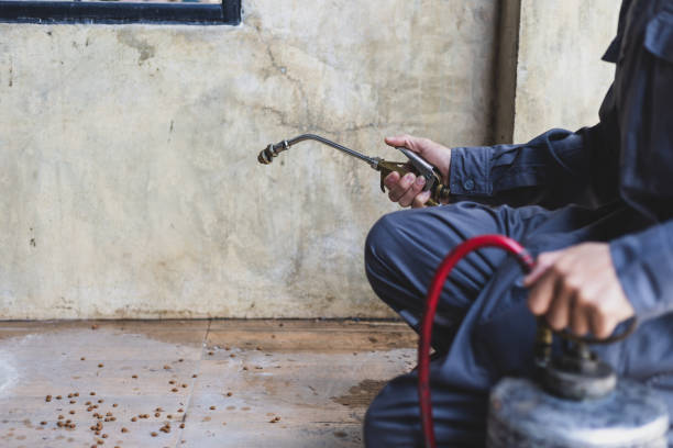 Best Pest Control for Businesses  in Lakehurst, NJ
